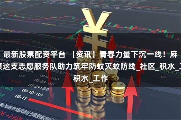 最新股票配资平台 【资讯】青春力量下沉一线！麻涌镇这支志愿服务队助力筑牢防蚊灭蚊防线_社区_积水_工作
